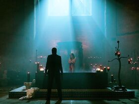 Клаудия Джерини голая – Джон Уик 2 (2017) #2