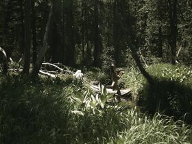 Надия Ланфранкони голая – Охота за мертвецом (2015)