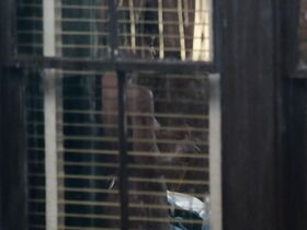 Гретхен Палмер голая – Красная жара (1988) #1