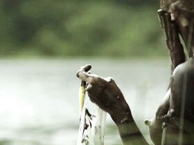 Люси Уолтерс голая – Тут одна (2016) #2