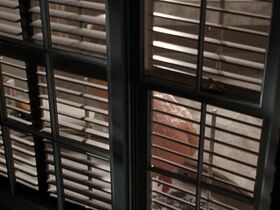 Мелисса Мур голая, Ребекка Миллер голая – По взаимному согласию (1992) #2